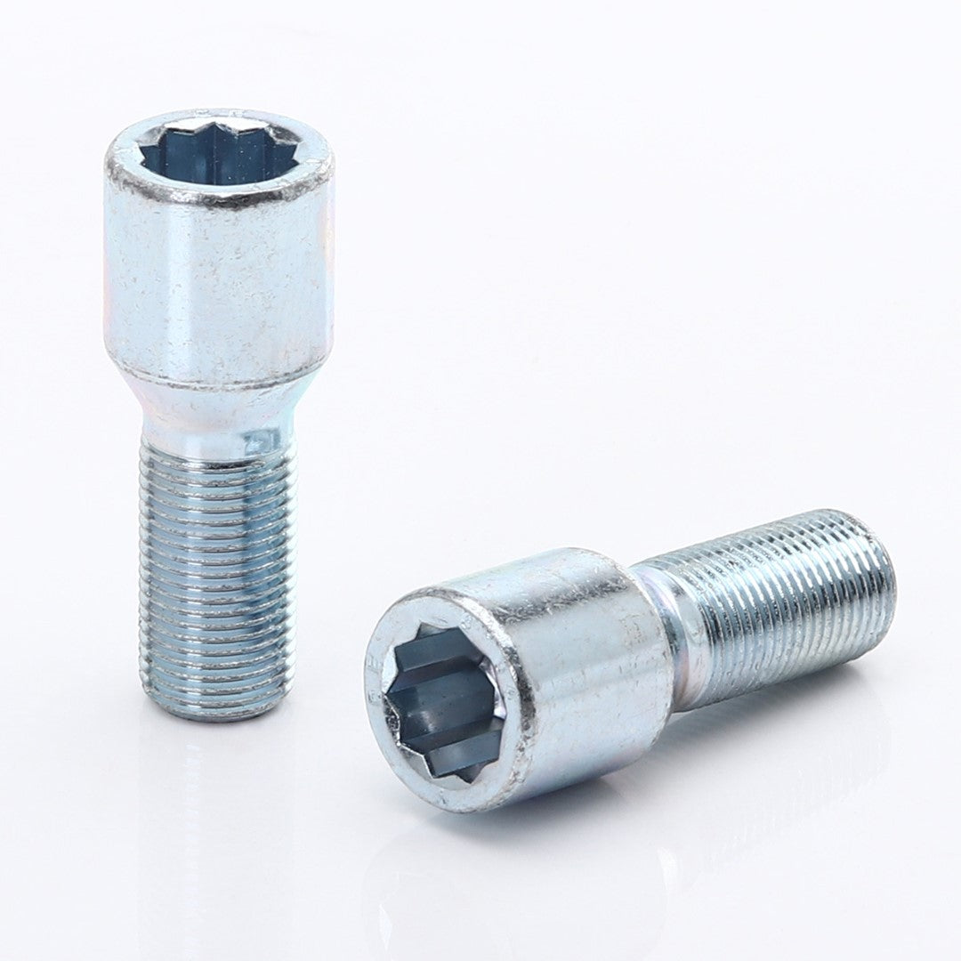 Tornillos de rueda de llave interior M14x1.5 en plata (20 unidades)