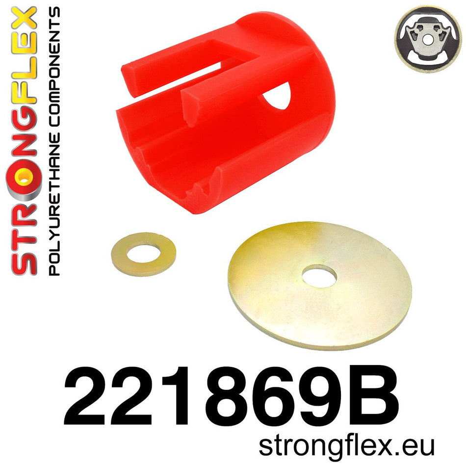 Inserto del soporte inferior del motor Audi A3 8P 1P 5P 7N 2K 2C A5 A6 1T (221869B)
