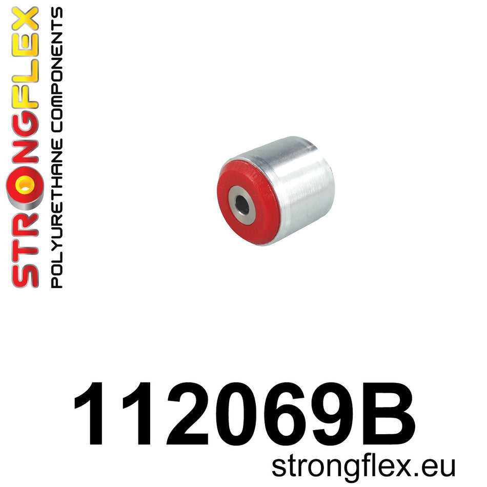 Silentblock del diferencial delantero derecho Mercedes Clase R W251 X166 (112069B)