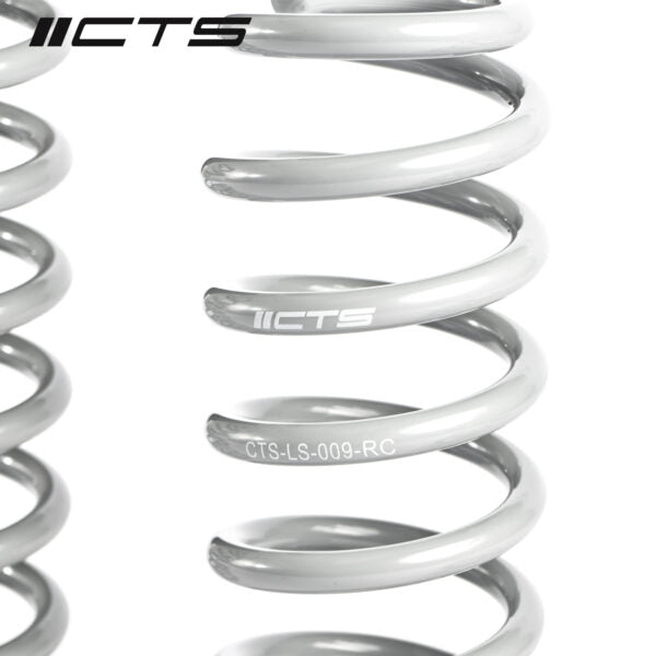 Muelles de rebaje CTS Turbo Golf GTI Mk8