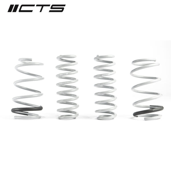 Muelles de rebaje CTS Turbo Golf GTI Mk8