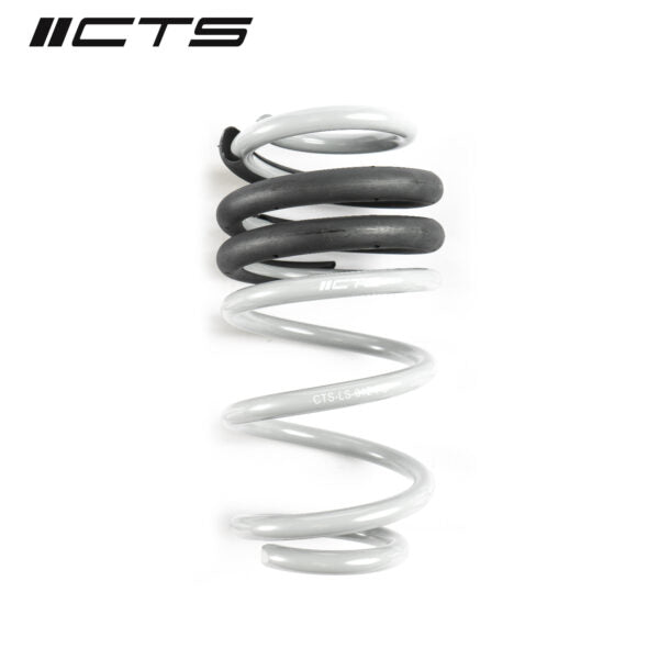 Muelles de rebaje CTS Turbo Audi A4 y S4 B8 y B8.5