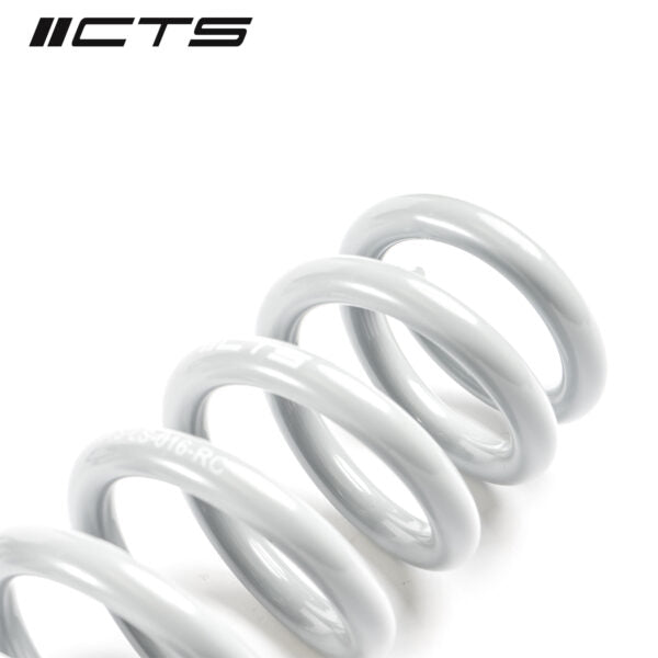 Muelles de rebaje CTS Turbo BMW serie 3 F30 y serie 4 F32 de propulsión