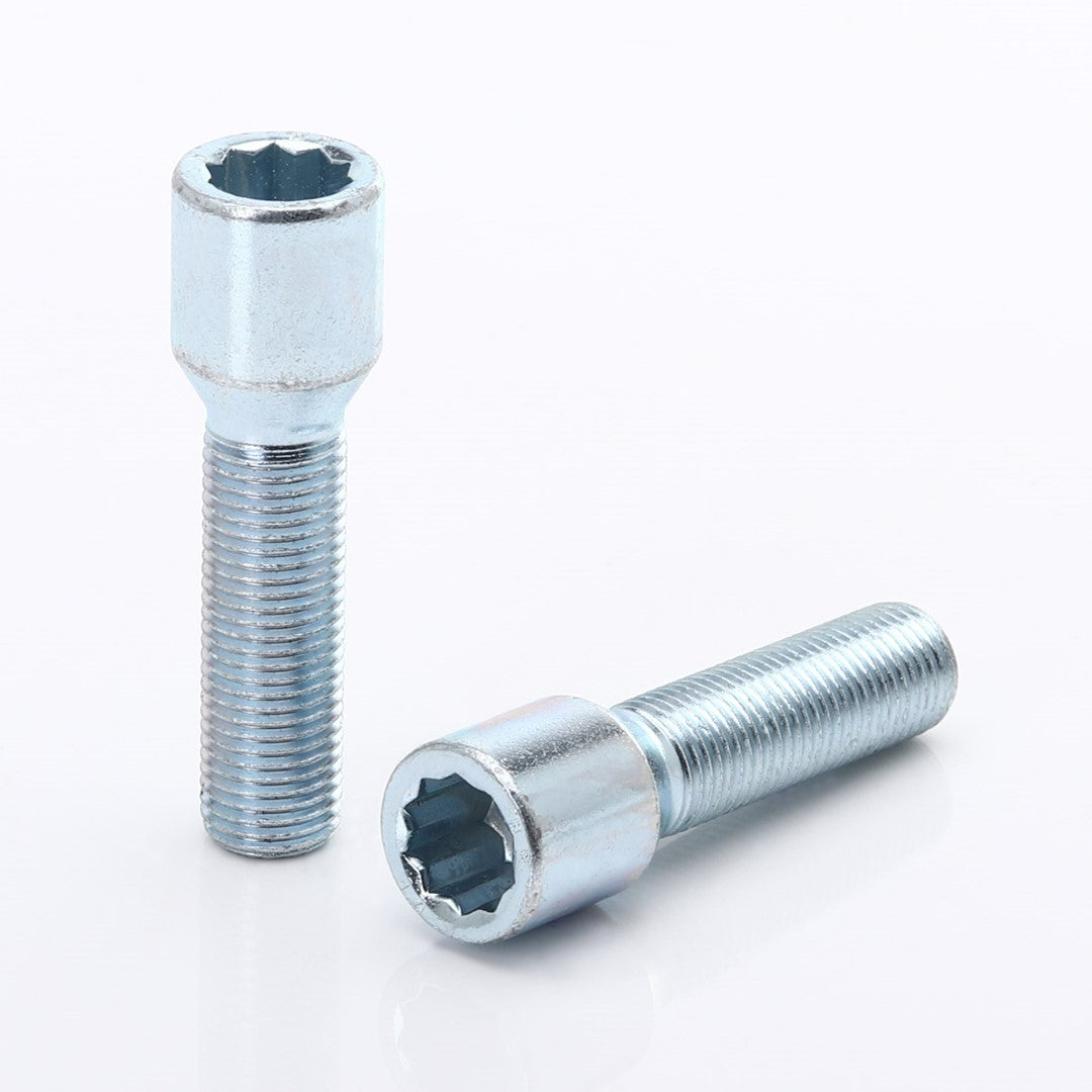 Tornillos de rueda largos de llave interior M14x1.25 en plata (10 unidades)